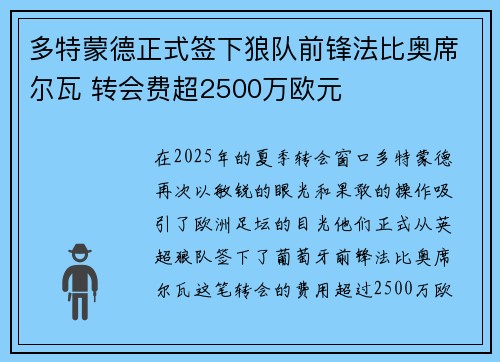 多特蒙德正式签下狼队前锋法比奥席尔瓦 转会费超2500万欧元